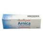 Arnica comp pomata 50gr heel<<< thumbnail
