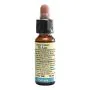 Fiori di bach 31 vervain 10 ml di leo thumbnail
