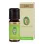 Cedro bio olio essenziale 10 ml thumbnail