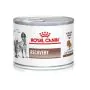 Royal Canin Recovery 195 Gr thumbnail