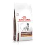 Royal Canin Cane Gastrointestinal Low Fat 6 Kg thumbnail