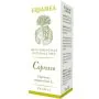 Cipresso 10 ml thumbnail