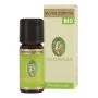 Menta piperita oe bio 10ml thumbnail
