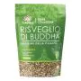 Risveglio di buddha bio proteine della canapa 360 g thumbnail