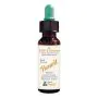 Fiori di bach benoit white chestnut 10 ml thumbnail