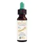 Fiori di bach benoit wild oat 10 ml thumbnail