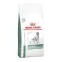 Royal Canin Cane Diabetic 1,5 Kg thumbnail