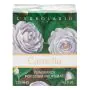 Camelia fragranza per legni profumati 125 ml thumbnail