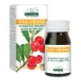 Uva ursina estratto titolato 60 pastiglie thumbnail