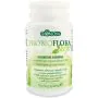 Probioflora kefir 30 capsule thumbnail