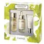 Vinoperfect cofanetto siero 1,2,3 2018 siero 30 ml + essenza 50 ml + crema notte 15 ml thumbnail