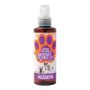 Argento colloidale pet spy 50ppm thumbnail