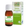 Betula Verruco Boiron Macerato Glicerico 60 Ml thumbnail