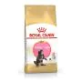 Royal Canin Gatto Fbn Maine Coon Kitten 2 Kg thumbnail