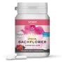Lemon pharma gomme 40 energia fiori di bach 60 g thumbnail
