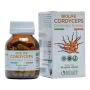Biolife cordyceps 60 capsule thumbnail