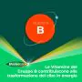 Berocca Plus Integratore Vitamine Minerali 30 Compresse thumbnail