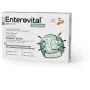 Enterovital restore 10 bustine thumbnail