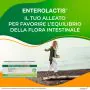 Enterolactis Bevibile Integratore Fermenti Lattici Vivi 12 Flaconcini 10 ml thumbnail