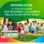 Enterolactis Bevibile Bambini 12 Flaconcini 10 ml thumbnail