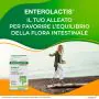 Enterolactis Integratore Di Fermenti Lattici 20 Capsule thumbnail