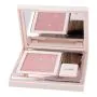 Defence color pretty touch fard compatto 309 marbre rose thumbnail