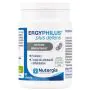 Ergyphilus plus defens 60 capsule thumbnail