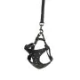 Camon Cane Parure Pettorina + Guinzaglio Similpelle Con Borchie 15 Mm X 120 Cm Tg. Small Nero thumbnail