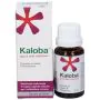 Kaloba Gocce 20mg / 1,5ml Contro Raffreddore Comune 20 ml thumbnail
