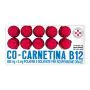 Cocarnetina b12 10 flaconcini 10ml thumbnail