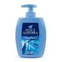 FELCE AZZURRA - Sapone Liquido Classico 300 ml thumbnail