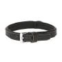Kerbl Cane Collare Vegas Hq 40 Mm 56-64 Cm Nero thumbnail