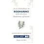Vaillant rosmarino olio essenziale 10 ml thumbnail
