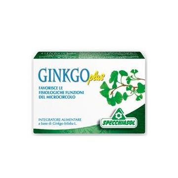 Ginkgo Plus 30 Capsule Specch.