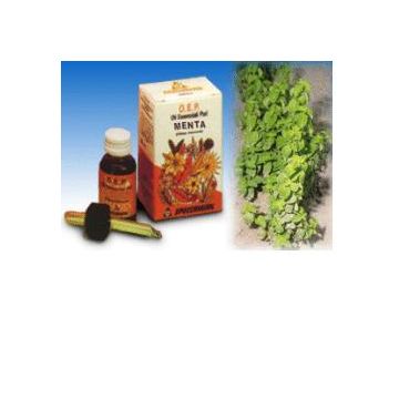 Menta olio 10ml specch