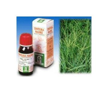 Sp.gramigna 37 tm 50ml