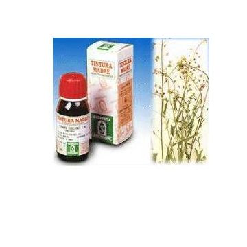 Sp.bursa pastoris tm 50ml