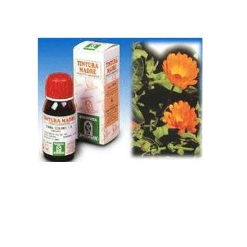 Sp.calendula off.tm 50ml