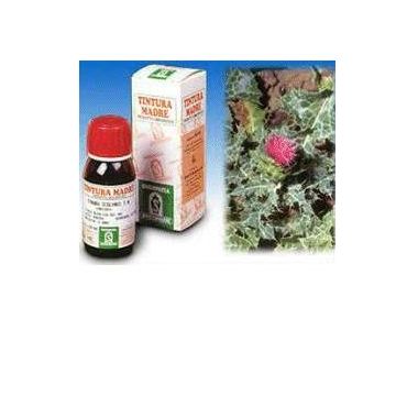 Sp.cardo mariano tm 50ml