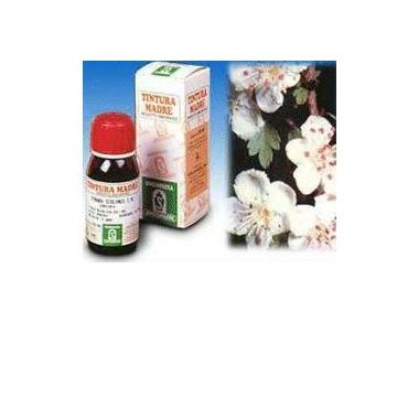 Sp.biancospino tm  50ml