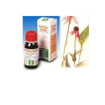 Sp.echinacea angus. tm 50ml