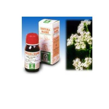Sp.valeriana 36 tm 50ml