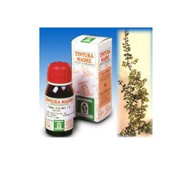 Sp.uva ursi tm 50ml