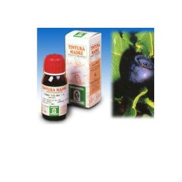 Sp.mirtillo 31 tm 50ml