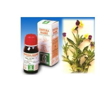 Sp.viola tricolor tm 50ml