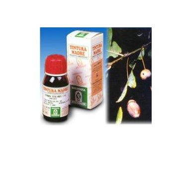 Sp.fucus vesic.tm 50ml