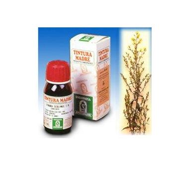 Verga oro 26 50ml tm