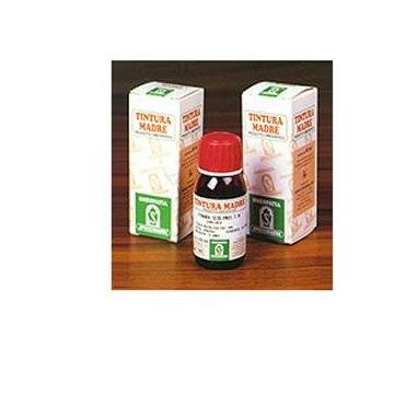 Sp.hieracium pilosella tm 50ml