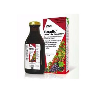 Floradix integr.ferro 250ml