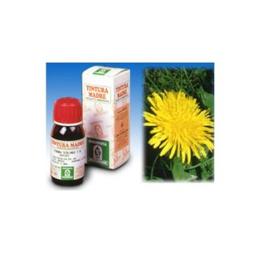 Sp.tarassaco dens leon.tm 50ml